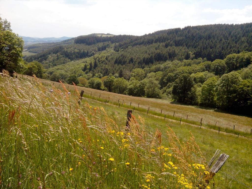 Centre Familial De Vacances Les Sylvageois Les Sauvages  Exteriér fotografie